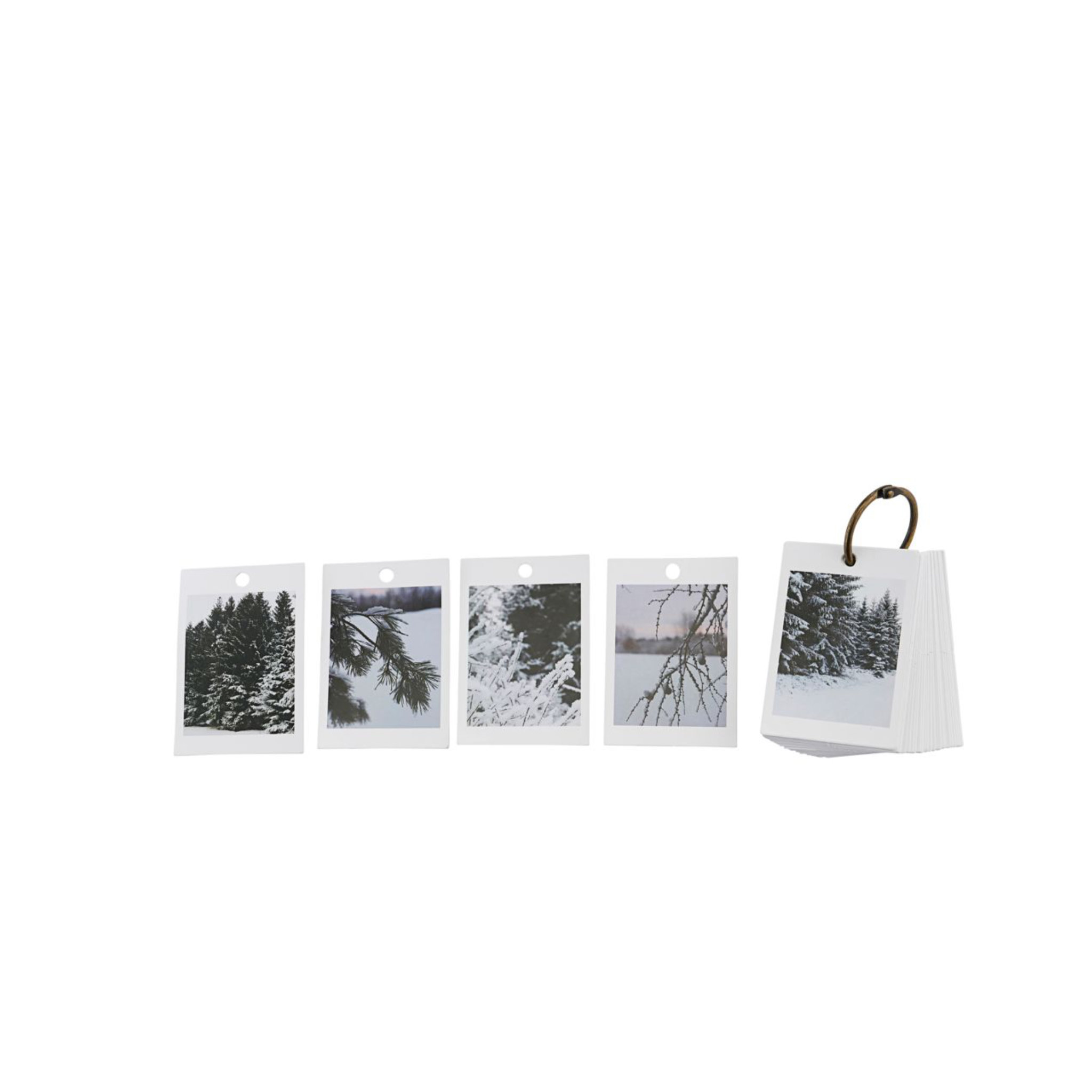 Gift Tag Pack- Polaroid